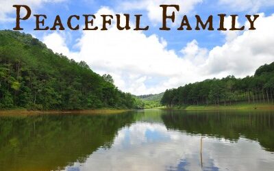 Our Peaceful Family Life: Learn From Us