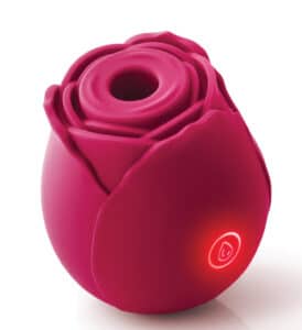 Inya rose fun couples sex toys